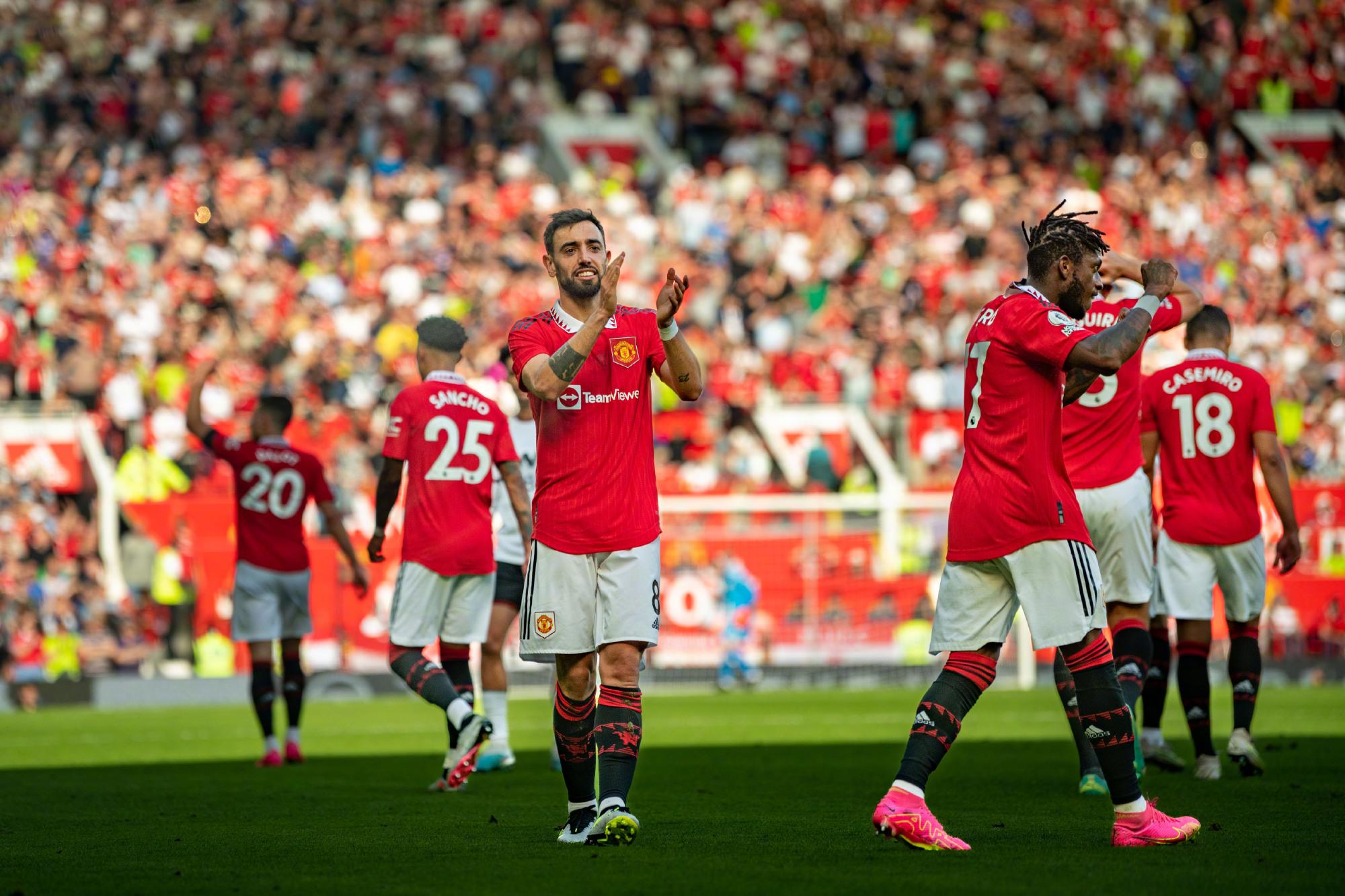 自瓜帅体系 自瓜帅体系